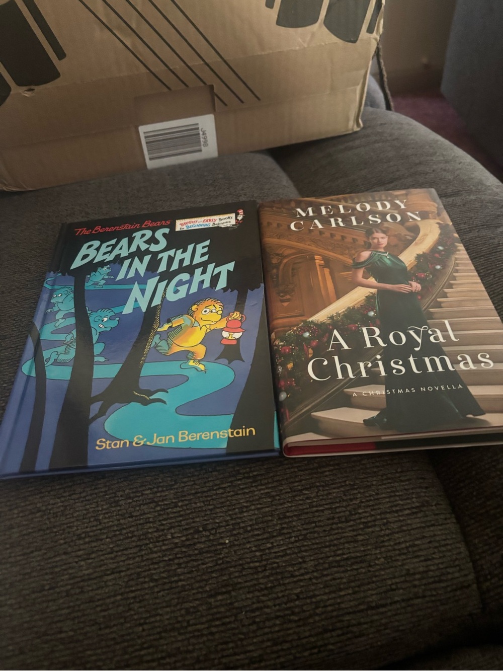 Bears in the Night & A Royal Christmas - Two Hardcover Books